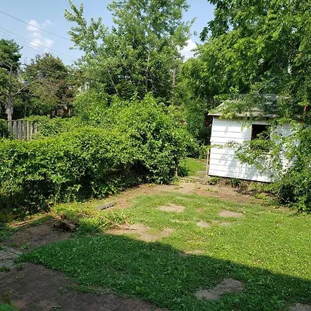 D.C.'S Brookland House Pets Are Welcome!